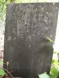 image of grave number 65666